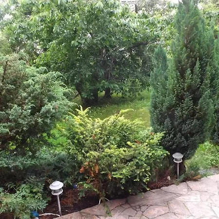 10 Os - Gdansk-sopot-gdynia Up To 19 Persons Semesterbostad