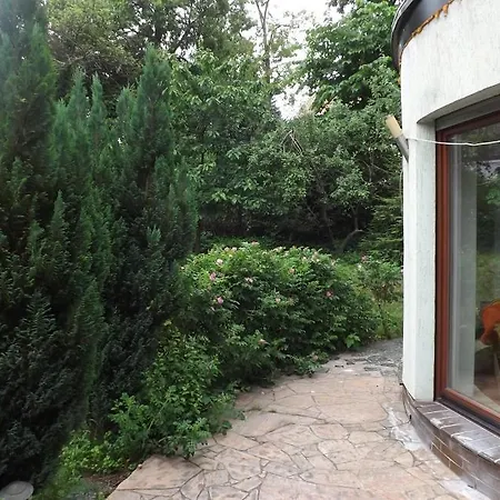 10 Os - Gdansk-sopot-gdynia Up To 19 Persons * グディニャ