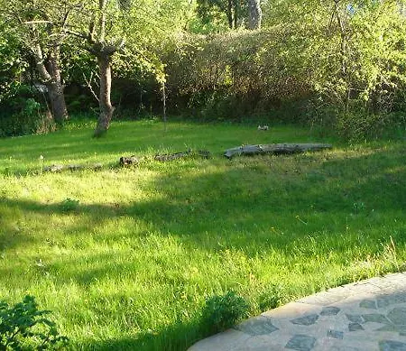 10 Os - Gdansk-sopot-gdynia Up To 19 Persons *