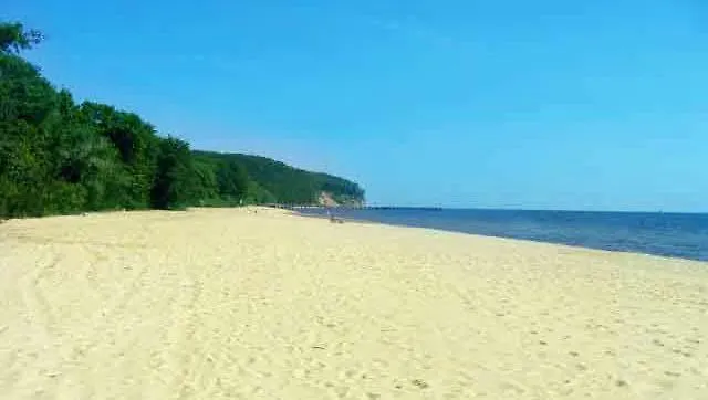 10 Os - Gdansk-sopot-gdynia Up To 19 Persons גדינייה